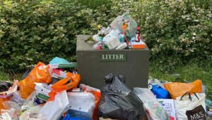 Estate Cleanouts